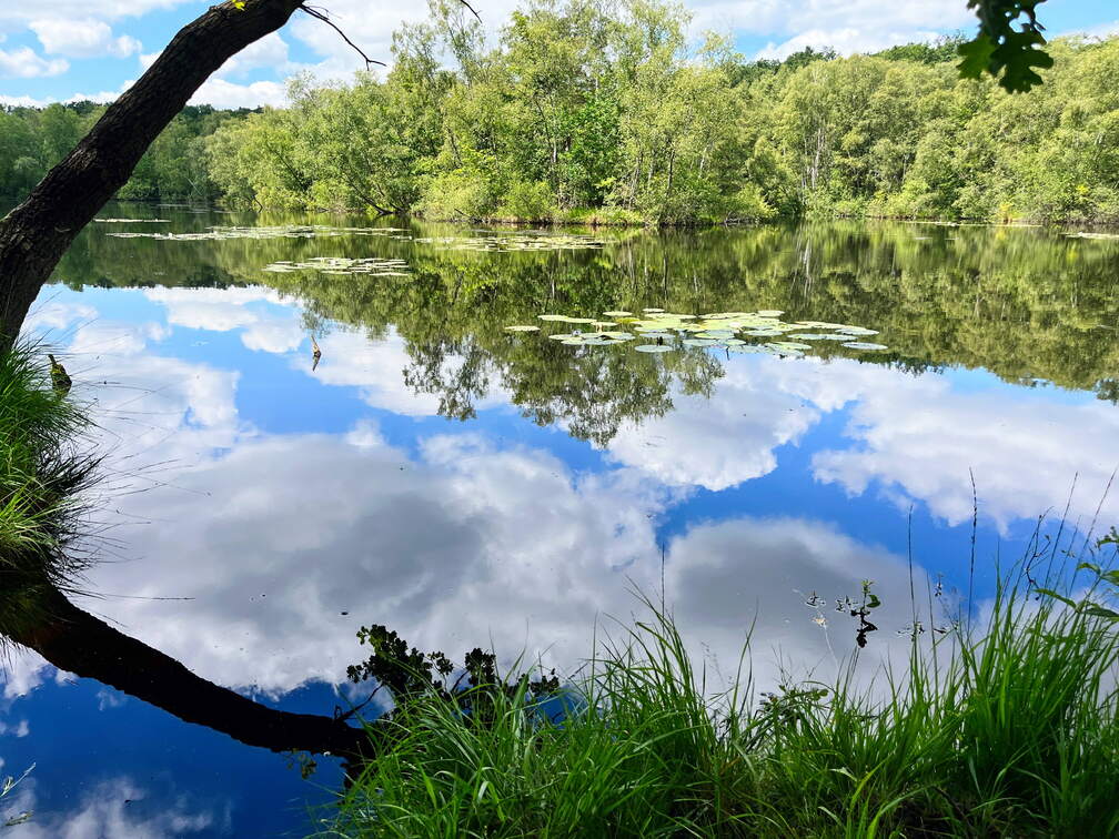 24-06-24 12-10-10 9832